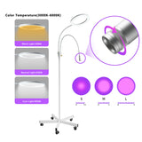 LED and UV  Floor Lamp with Foot Control for Hair and Lash Salon